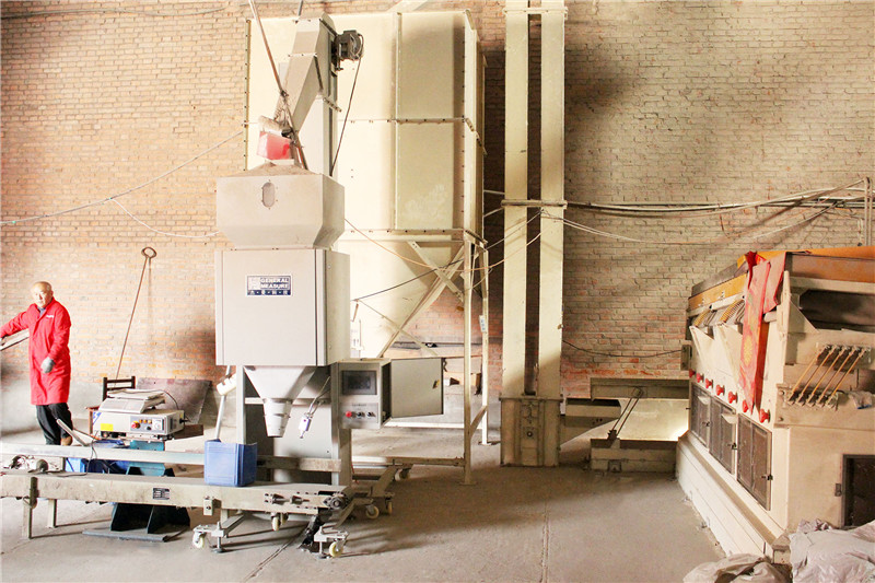 1509091448105944.jpg IMG_8315.JPG