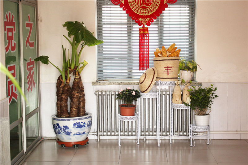 1509091731603563.jpg IMG_8333.JPG