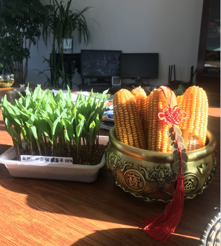 1669015931957371.png 1669015931957371.png