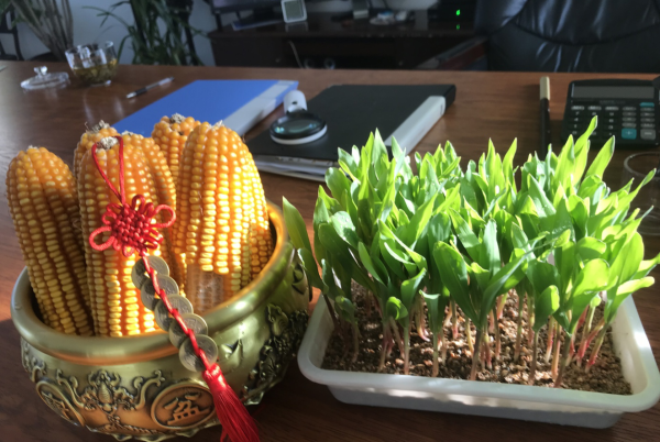 1669015983722159.png 2.png